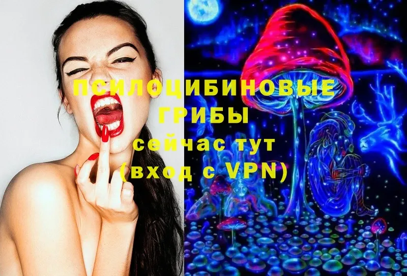 цены   Рязань  Галлюциногенные грибы Magic Shrooms 